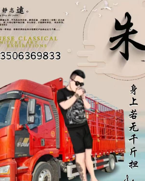 不吃鱼的猫